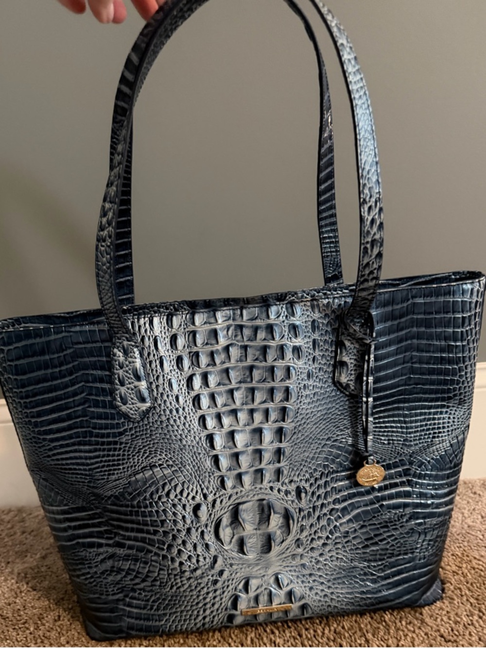 Like NEW Brahmin Melbourne Misha XL Tote - Picture 2 of 10